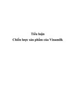 tiểu luận chiến lược sản phẩm của vinamilk