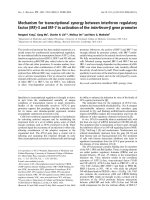 Báo cáo khoa học: Mechanism for transcriptional synergy between interferon regulatory factor (IRF)-3 and IRF-7 in activation of the interferon-b gene promoter docx