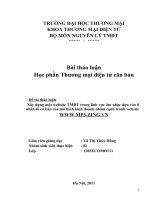 Bài thảo luận Học phần Thương mại điện tử căn bản ppt