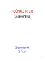 Thuốc điều trị thái đáo đường potx