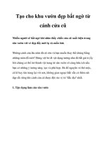 Tạo cho khu vườn đẹp bất ngờ từ cánh cửa cũ potx