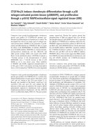 Báo cáo Y học: CTGF/Hcs24 induces chondrocyte differentiation through a p38 mitogen-activated protein kinase (p38MAPK), and proliferation through a p44/42 MAPK/extracellular-signal regulated kinase (ERK) doc