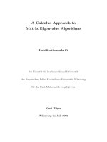 calculus approach to matrix eigenvalue algorithms - hueper