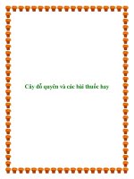 Cây đỗ quyên và các bài thuốc hay pot