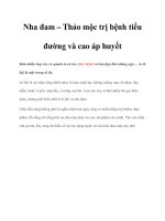 Nha đam – Thảo mộc trị bệnh tiểu đường và cao áp huyết ppt