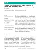 Báo cáo khoa học: Wild-type p53 enhances annexin IV gene expression in ovarian clear cell adenocarcinoma docx