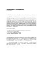 An Introduction to Vascular Biology From basic science to clinical practice SECOND EDITION pdf