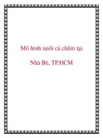 Mô hình nuôi cá chẽm tại Nhà Bè, TP.HCM ppt