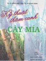 Kỹ thuật thâm canh cây mía ppt