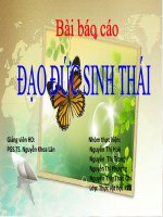 Báo cáo ĐẠO ĐỨC SINH THÁI docx