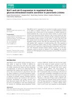 Báo cáo khoa học: Sirt1 and mir-9 expression is regulated during glucose-stimulated insulin secretion in pancreatic b-islets ppt