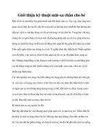 Giới thiệu kỹ thuật mát-xa chân cho bé ppt