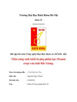 báo cáo tiềm năng sinh khối từ phụ phẩm lạc( peanut crop) của tỉnh bắc giang