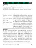 Báo cáo khoa học: From meiosis to postmeiotic events: Homologous recombination is obligatory but ﬂexible doc