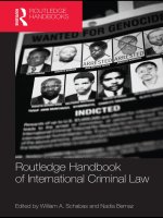 Routledge Handbook of International Criminal Law pot