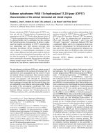 Báo cáo Y học: Baboon cytochrome P450 17a-hydroxylase/17,20-lyase (CYP17) Characterization of the adrenal microsomal and cloned enzymes docx