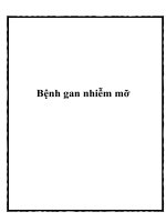 Bệnh gan nhiễm mỡ docx