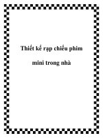 Thiết kế rạp chiếu phim mini trong nhà pot