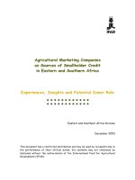 Agricultural Marketing Companies as Sources of Smallholder Credit in Eastern and Southern africa docx