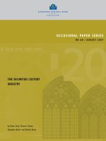 OCCASIONAL PAPER SERIES NO 68 / AUGUST 2007: THE SECURITIES CUSTODY INDUSTRY potx