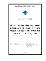 phân tích hoạt động kinh doanh công ty TNHH MTV thương mại dịch vụ Lê Ký