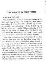 Cây nhãn và kỹ thuật trồng pdf