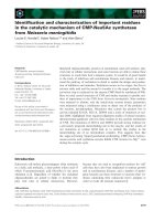 Báo cáo khoa học: Identiﬁcation and characterization of important residues in the catalytic mechanism of CMP-Neu5Ac synthetase from Neisseria meningitidis potx
