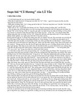 Soạn bài “Cố Hương” của Lỗ Tấn