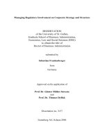 Managing Regulatory Involvement on Corporate Strategy and Structure ppt