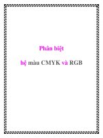 Phân biệt hệ màu CMYK và RGB pot