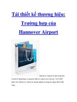 Tái thiết kế thương hiệu: Trường hợp của Hannover Airport pptx