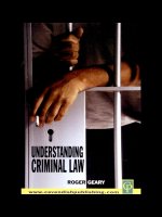 Understanding criminal law docx