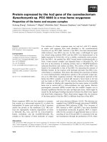 Báo cáo khoa học: Protein expressed by the ho2 gene of the cyanobacterium Synechocystis sp. PCC 6803 is a true heme oxygenase pot
