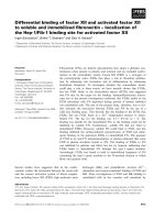 Báo cáo khoa học: Differential binding of factor XII and activated factor XII to soluble and immobilized ﬁbronectin – localization of the Hep-1/Fib-1 binding site for activated factor XII pdf