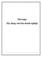 tiểu luận xây dựng văn hóa doanh nghiệp