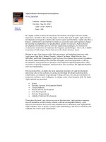 Agile Software Development Ecosystems doc