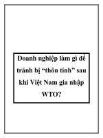 Doanh nghiệp làm gì để tránh bị “thôn tính” sau khi Việt Nam gia nhập WTO? pot