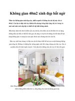 Không gian 40m2 xinh đẹp bất ngờ pot