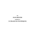 The MANCHESTER handbook of ppt