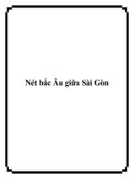 Nét bắc Âu giữa Sài Gòn ppt