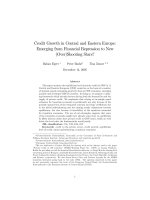 Credit Growth in Central and Eastern Europe: Emerging from Financial Repression to New (Over)Shooting Stars? potx