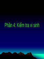 Phần 4: Kiểm tra vi sinh doc