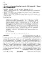chronopotentiometric stripping analysis of gelatinase b, collagen and their interaction