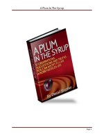 A Plum In The Syrup pptx