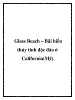 Glass Beach – Bãi biển thủy tinh độc đáo ở California(Mỹ) potx