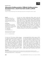 Báo cáo khoa học: Alternative binding proteins: Afﬁbody binding proteins developed from a small three-helix bundle scaffold potx
