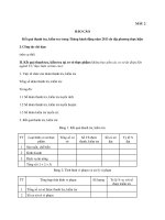 MẪU BÁO CÁO Kết quả thanh tra, kiểm tra trong Tháng hành động năm 2013 do địa phương thực hiện potx