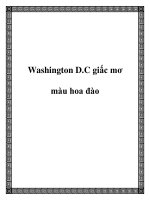 Washington D.C giấc mơ màu hoa đào ppt