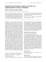 Báo cáo khoa học: Identiﬁcation and localization of glycine in the inner core lipopolysaccharide of Neisseria meningitidis ppt