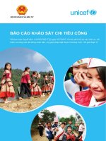 Báo cáo khảo sát chi tiêu công pptx